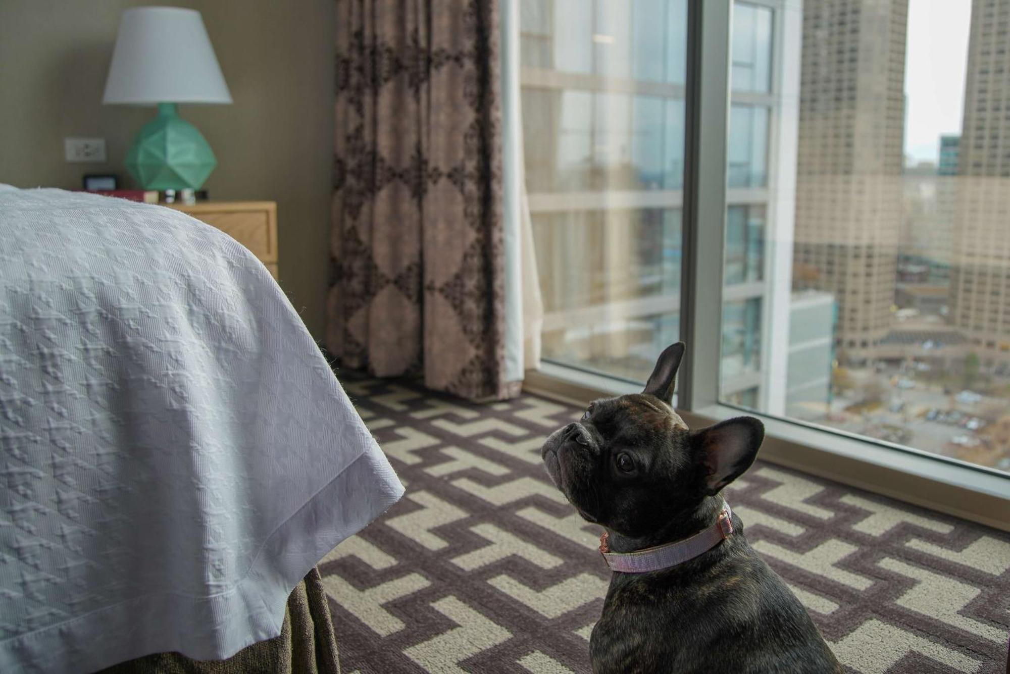 Homewood Suites By Hilton Chicago West Loop Fulton Mkt Area Экстерьер фото