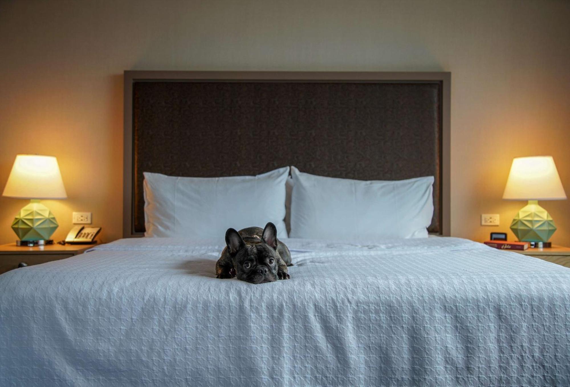 Homewood Suites By Hilton Chicago West Loop Fulton Mkt Area Экстерьер фото